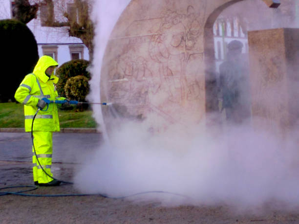 Best Exterior Home Cleaning  in Holly Springs, NC